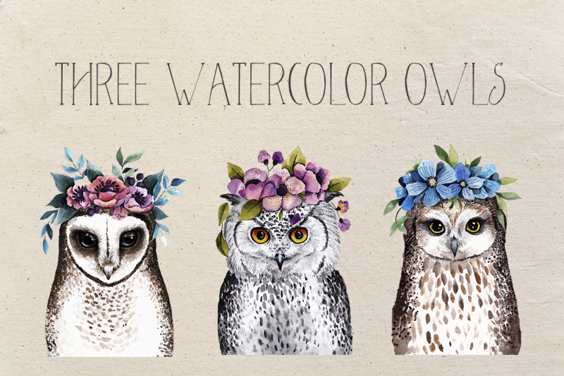 watercolor-owls