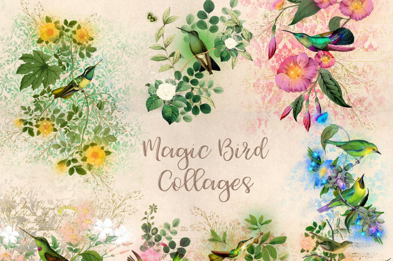 magic-bird-collages