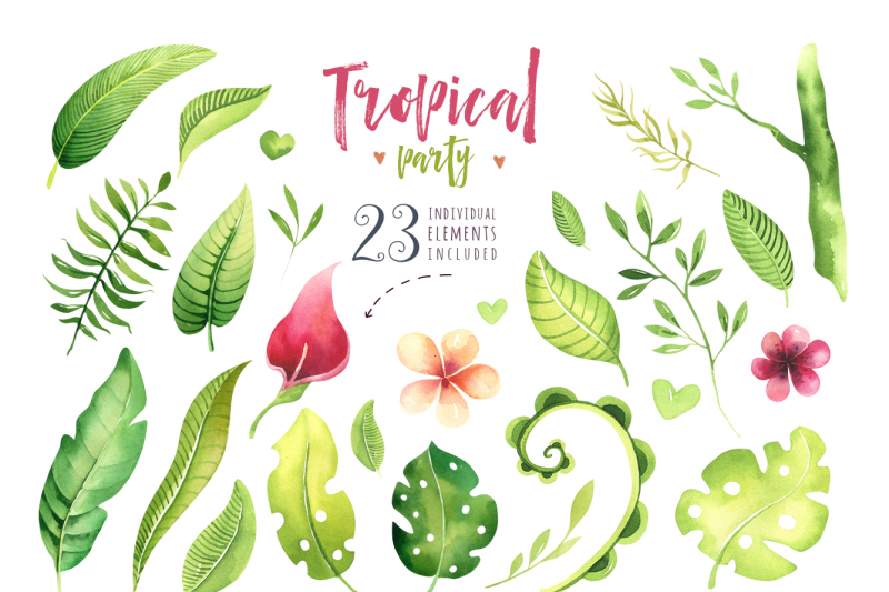 tropical-party-iii-sloth-collection