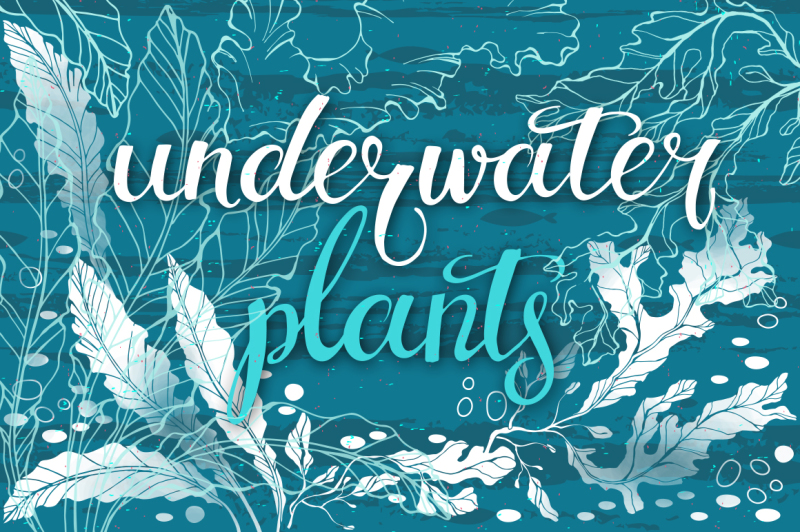 underwater-plants-graphic-set