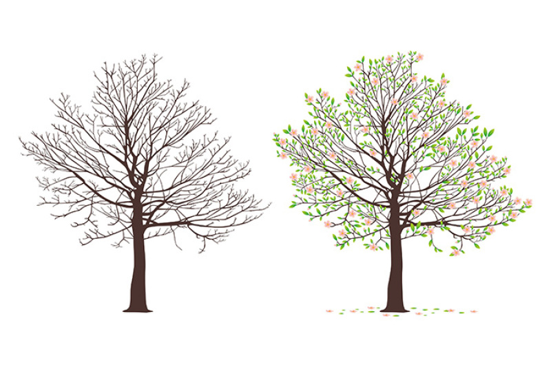 four-seasons-trees