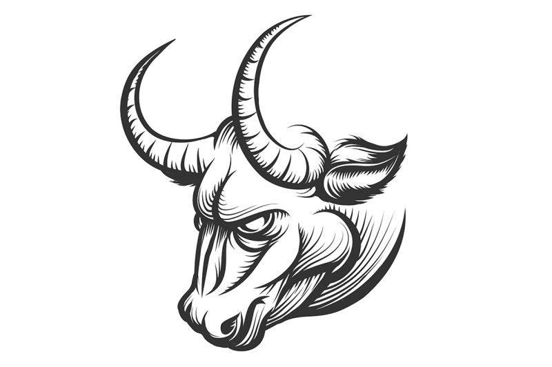 bull-head