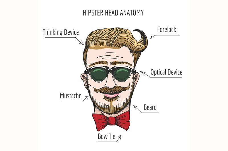 hipster-head-anatomy