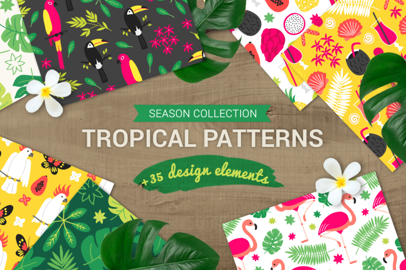 tropical-patterns-design-elements