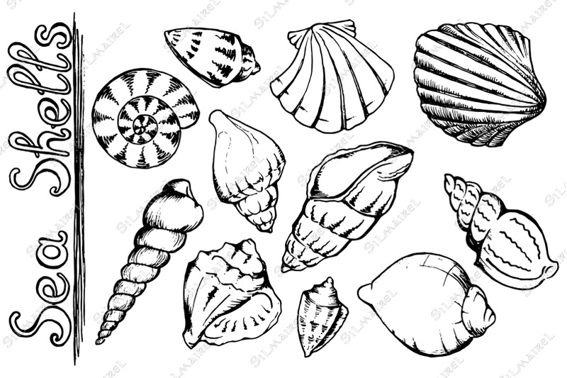 seashell-ink-line-art-frame-seamless-pattern-set-vector