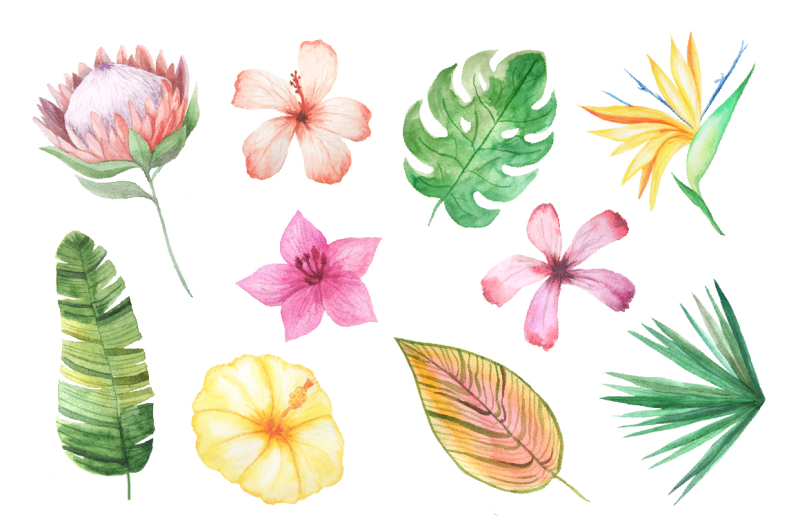 watercolor-exotic-flowers-mini-set