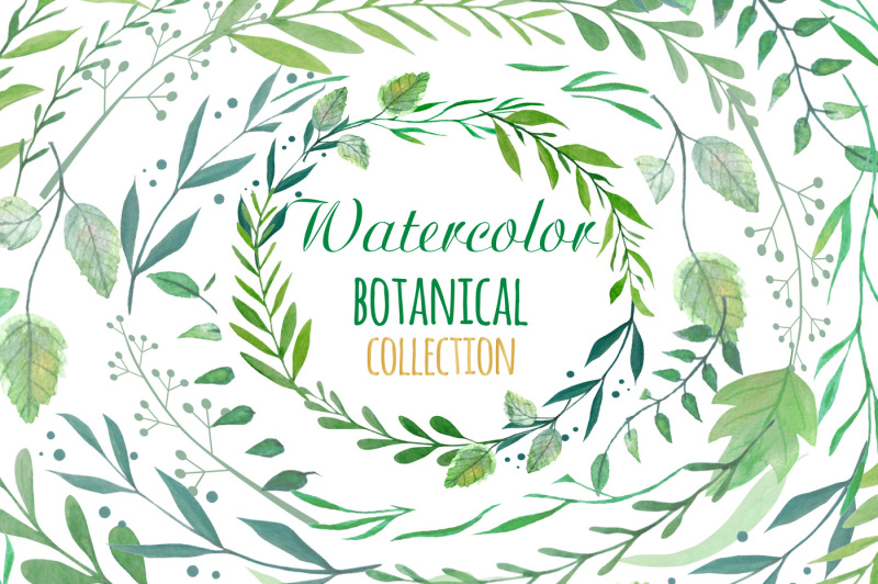 botanical-watercolor-clipart