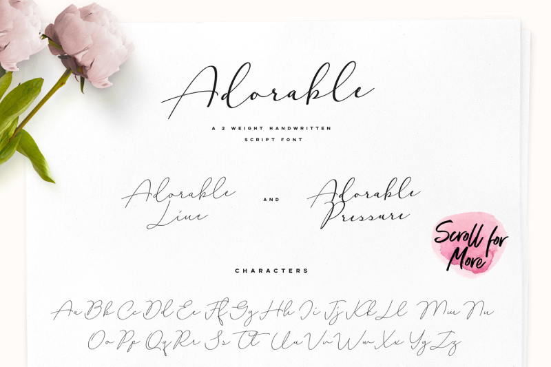 adorable-handwritten-script-font