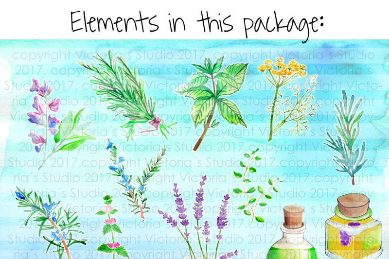 watercolor-herbs-lavander-essential-oils-bundle-watercolor-boho-watercolor-menta-rosemary-basil
