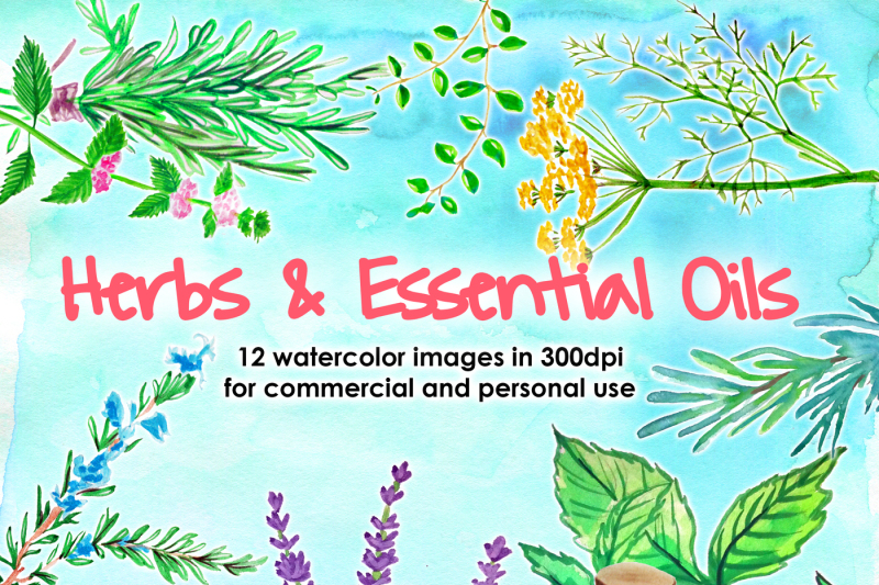 watercolor-herbs-lavander-essential-oils-bundle-watercolor-boho-watercolor-menta-rosemary-basil