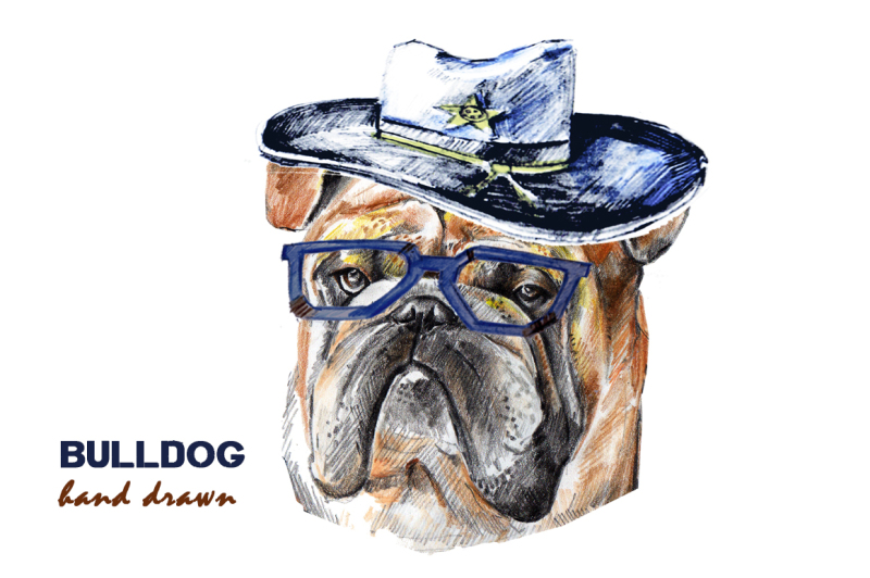 bulldog-face-dog-hand-drawn