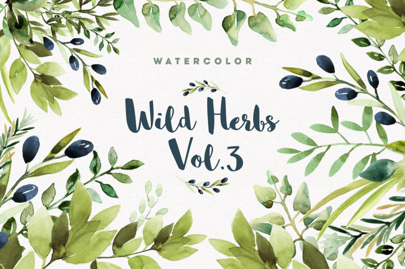 watercolor-wild-herbs-vol-3