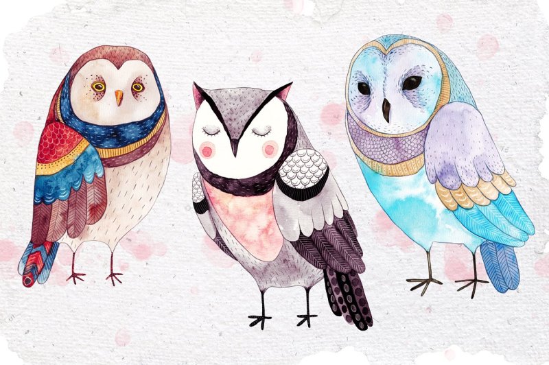 three-little-owls