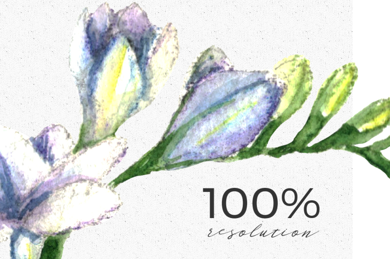 wedding-watercolor-tulips-set