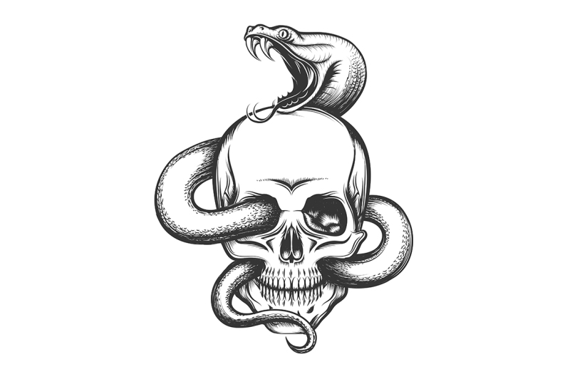 snake-and-skull-engraving-illustration