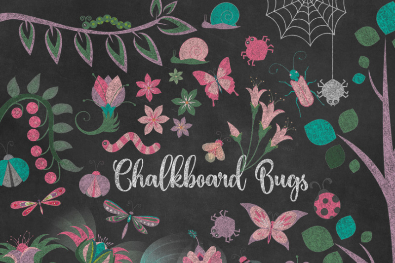 chalkboard-cute-bugs-clipart