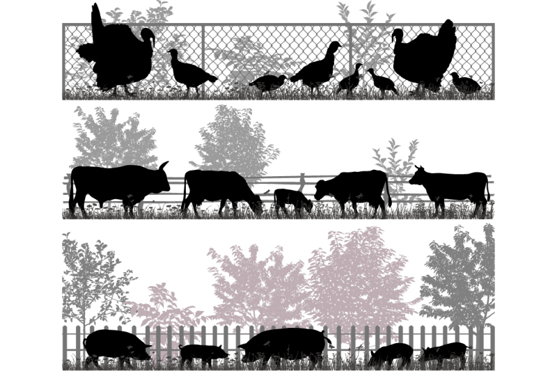 farm-animals
