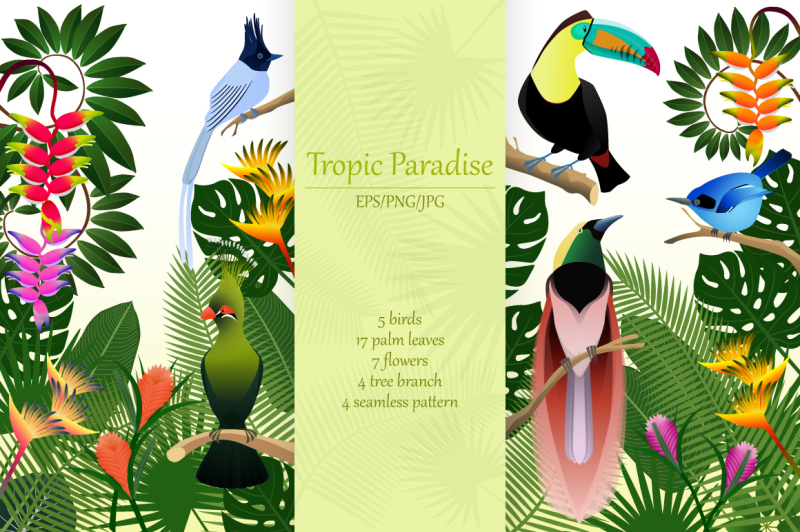 tropic-paradise-tropical-birds-collection