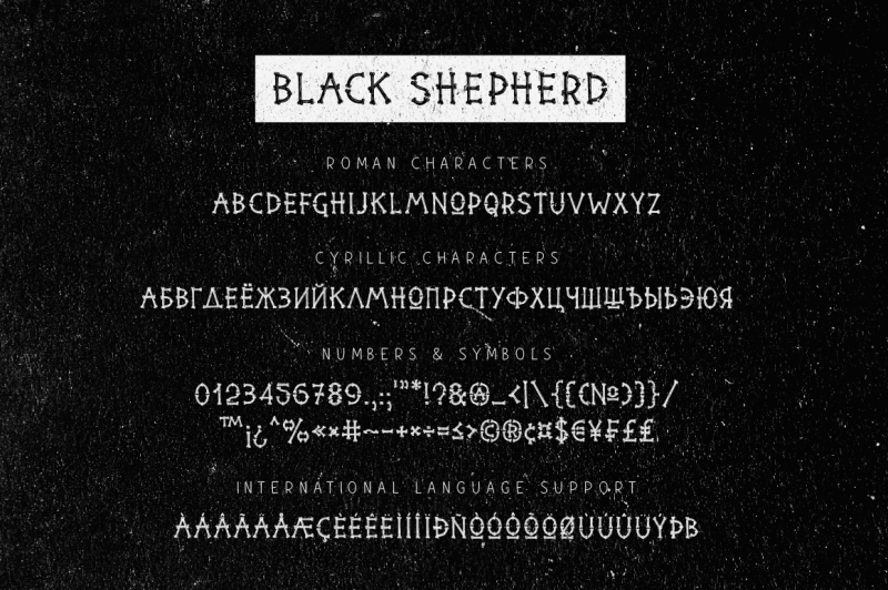 black-shepherd