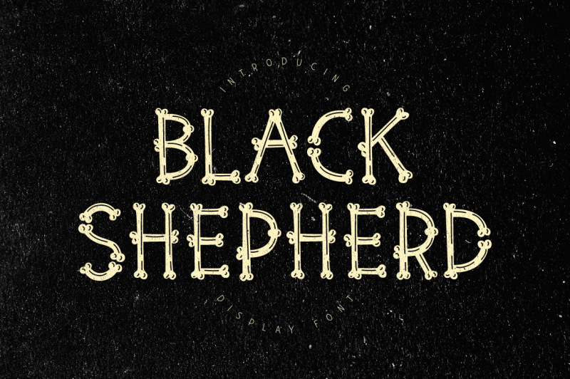 black-shepherd