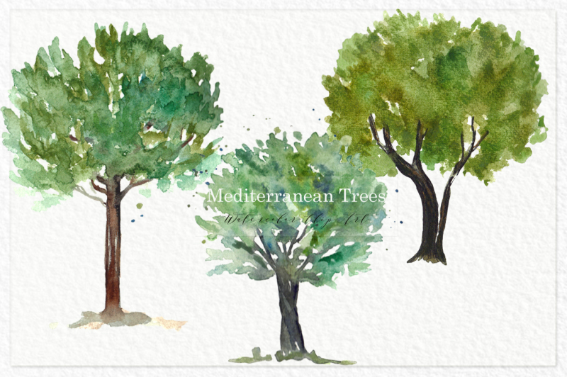 trees-mediterranean-clip-art