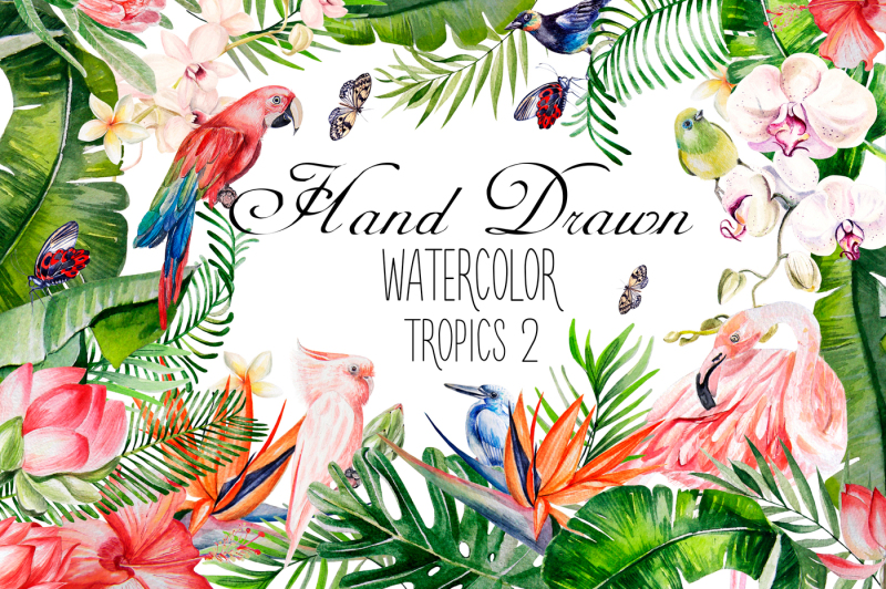 hand-drawn-watercolor-tropics-2
