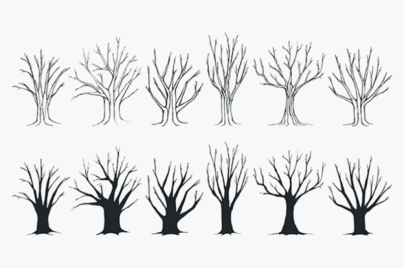 collection-of-trees-silhouettes
