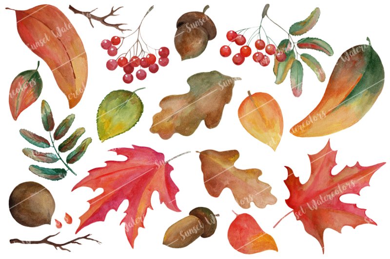 autumn-leaves-watercolor-clipart