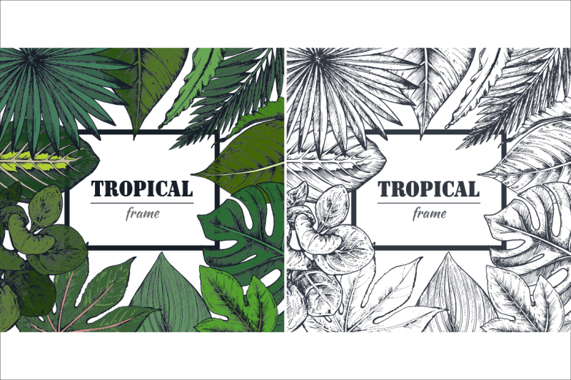 tropical-collection