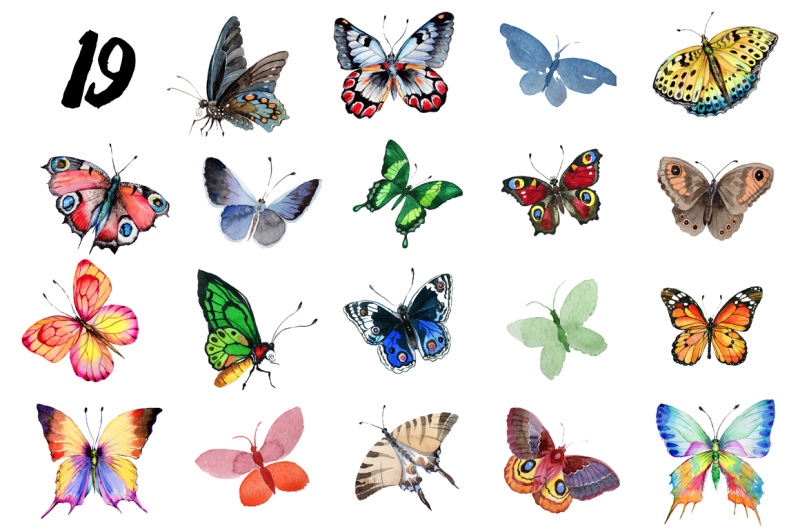 watercolor-butterflies-eps-and-png