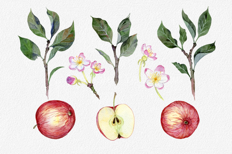 hand-drawn-watercolor-apple-set