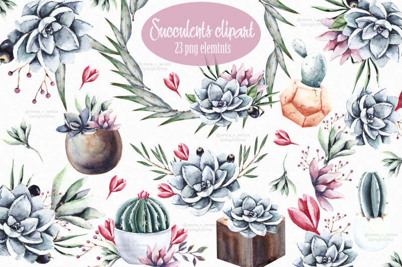 succulents-and-cactus-watercolor-clipart