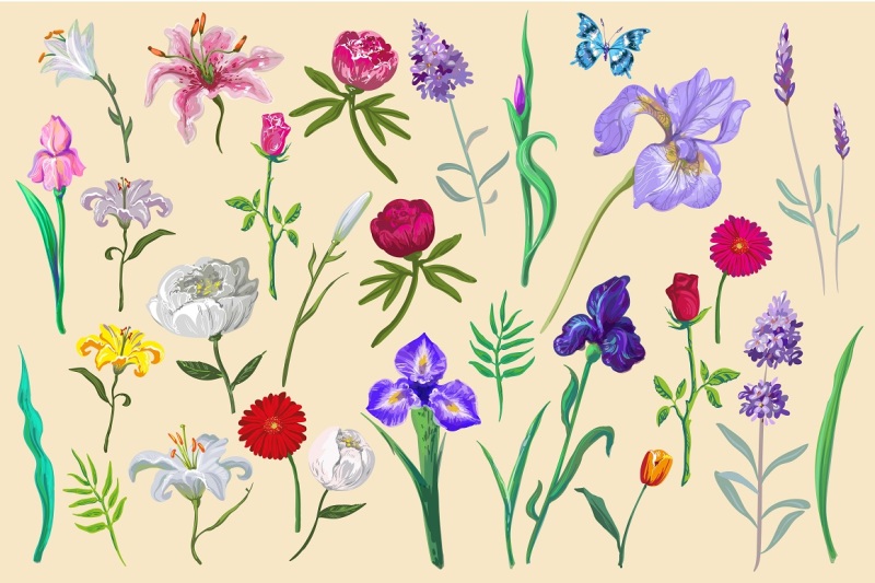 vector-flowers-and-patterns