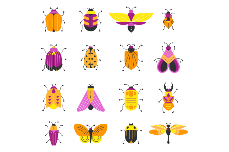 bugs-and-insects-collection