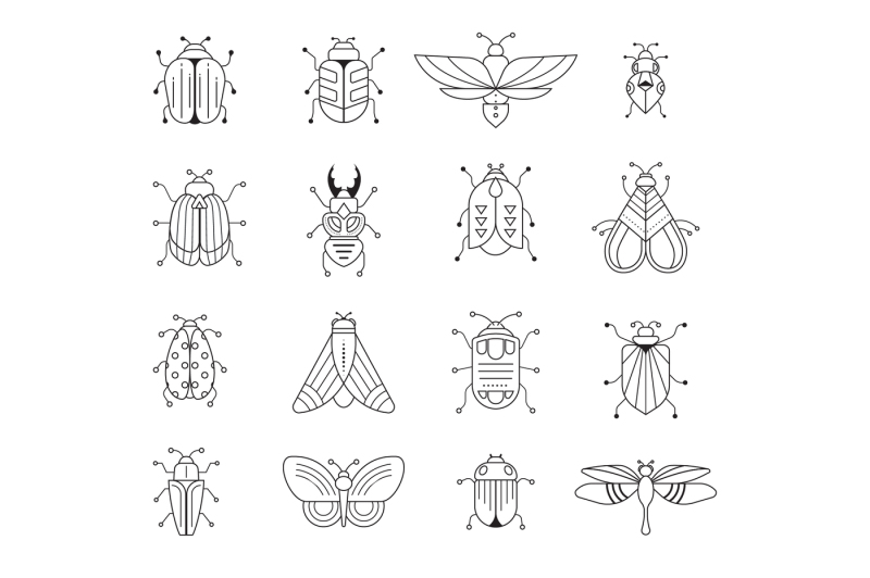 bugs-and-insects-collection