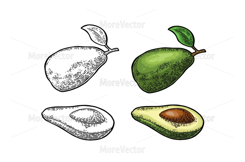 whole-and-half-avocado-with-seed-and-leaf