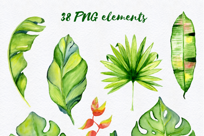tropical-leaves-watercolor-jungle-clipart-90-png