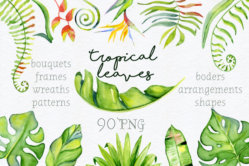 tropical-leaves-watercolor-jungle-clipart-90-png