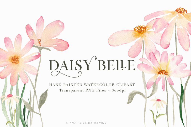 daisy-belle-watercolor-floral-clipart
