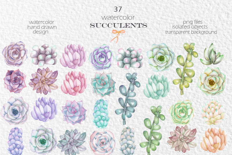 succulents-watercolor-coll-vol-1