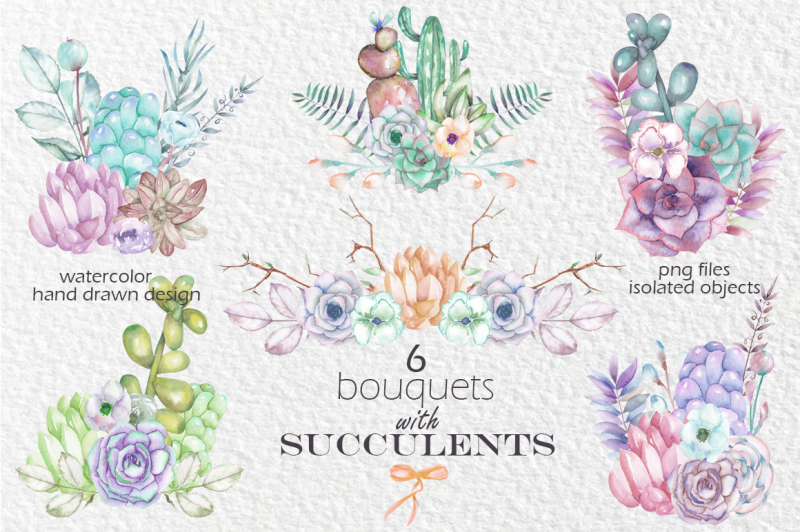 succulents-watercolor-coll-vol-2