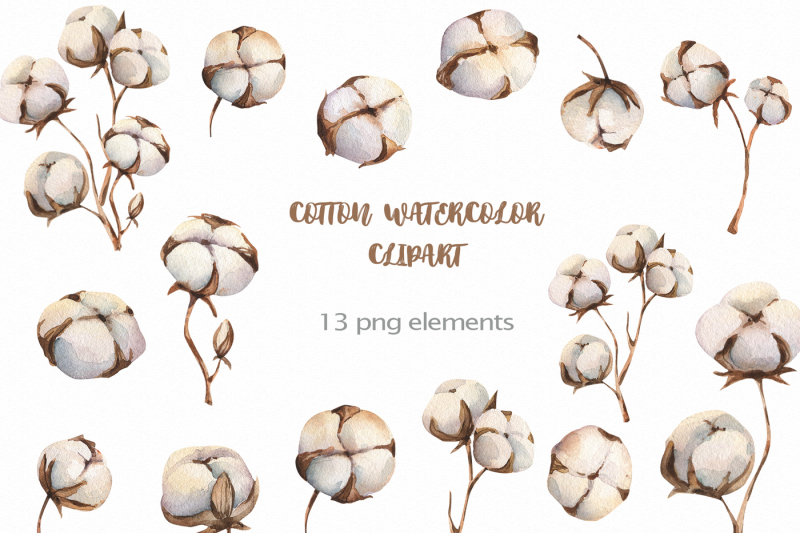 cotton-watercolor-png-clipart