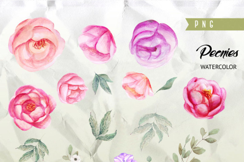 peonies-watercolor-flowers-clipart-boho-hand-painted-watercolour-floral-wedding-invitation-diy-elements-invite-greeting-card