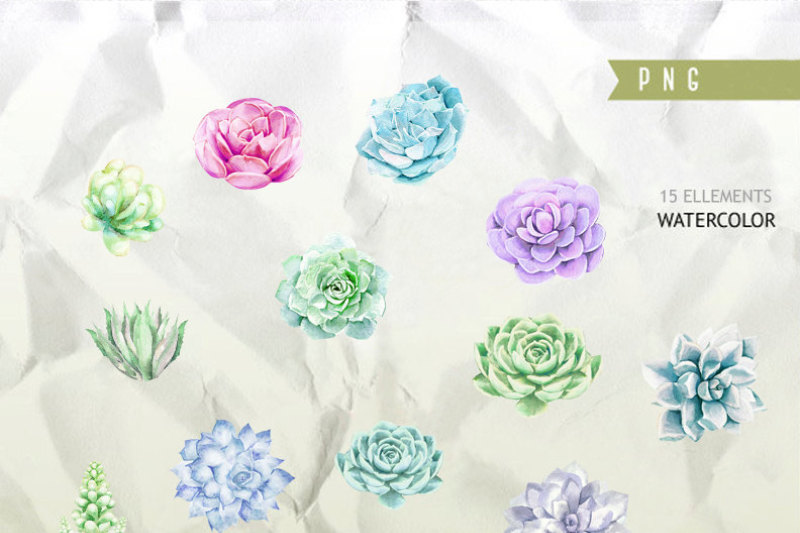 watercolour-succulent-clipart-wedding-clip-art-flower-elements-digital-watercolor-wedding-flowers-boho-flowers-invitation-clip-art