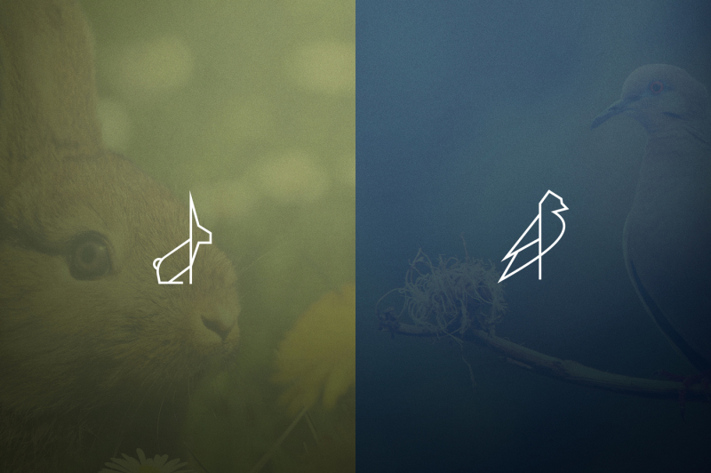 17-geometric-animal-icons-and-logos-30-percent