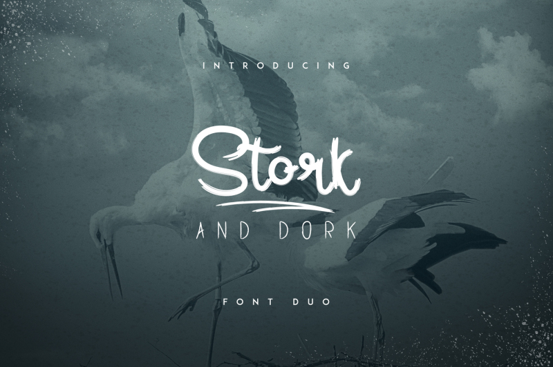 stork-and-dork-font-duo