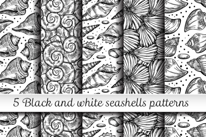 5-black-and-white-sea-shells-pattern