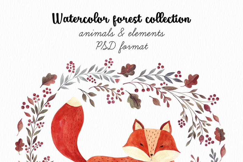 watercolor-forest-collection