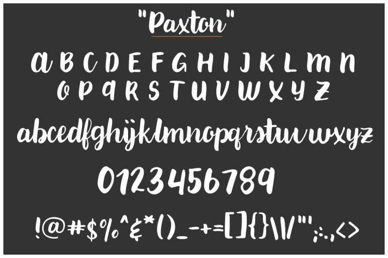 paxton-a-chic-hand-written-font