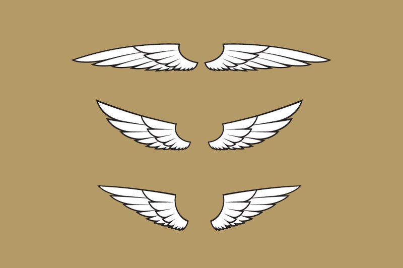 160-pairs-of-vector-wings